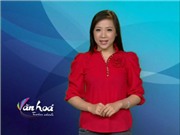 Bóng đá anh, ngoại hạng anh, lịch thi đấu euro 2012, Bản tin văn hóa toàn cảnh ngày 22/10/2011