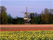 Bóng đá anh, ngoại hạng anh, lịch thi đấu euro 2012, Dừng chân ở xứ sở loài hoa tulip