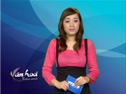 Bóng đá anh, ngoại hạng anh, lịch thi đấu euro 2012, Bản tin Văn hóa toàn cảnh ngày 27/10/2011
