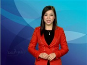 Bóng đá anh, ngoại hạng anh, lịch thi đấu euro 2012, Bản tin Văn hóa toàn cảnh ngày 30/10/2011
