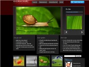 Bóng đá anh, ngoại hạng anh, lịch thi đấu euro 2012, TT&VH Online ra mắt chuyên trang chia sẻ ảnh