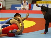 Bóng đá anh, ngoại hạng anh, lịch thi đấu euro 2012, Môn vật có thể bị loại: Do thiếu thiết bị
