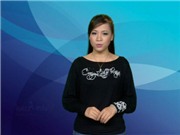 Bóng đá anh, ngoại hạng anh, lịch thi đấu euro 2012, Bản tin Văn hóa toàn cảnh ngày 8/11/2011