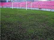 Bóng đá anh, ngoại hạng anh, lịch thi đấu euro 2012, Bosnia tiếp đón BĐN bằng ruộng khoai tây