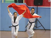 Bóng đá anh, ngoại hạng anh, lịch thi đấu euro 2012, Những khoảnh khắc vàng đầu tiên của thể thao Việt Nam