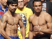 Bóng đá anh, ngoại hạng anh, lịch thi đấu euro 2012, Boxing: Chưa đánh, Pacquiao đã bỏ túi 22 triệu USD