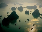 Bóng đá anh, ngoại hạng anh, lịch thi đấu euro 2012,  Ăn mừng cùng những người "vote" hàng chục vạn tin nhắn