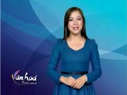 Bóng đá anh, ngoại hạng anh, lịch thi đấu euro 2012, Bản tin Văn hóa toàn cảnh ngày 29/11/2011