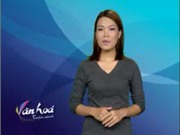 Bóng đá anh, ngoại hạng anh, lịch thi đấu euro 2012, Bản tin Văn hóa toàn cảnh ngày 30/11/2011