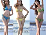 Bóng đá anh, ngoại hạng anh, lịch thi đấu euro 2012, Bộ ảnh bikini "nóng bỏng" của các thí sinh Miss Parkson