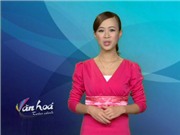 Bóng đá anh, ngoại hạng anh, lịch thi đấu euro 2012, Bản tin Văn hóa toàn cảnh ngày 4/12/2011