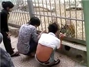 Bóng đá anh, ngoại hạng anh, lịch thi đấu euro 2012, Chơi ngông, 2 thanh niên xỉa răng... cho hổ!