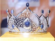 Bóng đá anh, ngoại hạng anh, lịch thi đấu euro 2012, Vương miện Hoa hậu các Dân tộc hình hoa sen