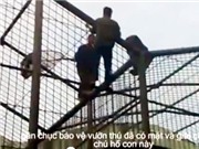 Bóng đá anh, ngoại hạng anh, lịch thi đấu euro 2012, Chú hổ suýt sổng chuồng từng được… xỉa răng