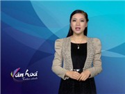 Bóng đá anh, ngoại hạng anh, lịch thi đấu euro 2012, Bản tin Văn hóa toàn cảnh ngày 9/12/2011