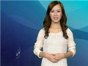 Bóng đá anh, ngoại hạng anh, lịch thi đấu euro 2012, Bản tin Văn hóa toàn cảnh ngày 10/12/2011