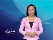Bóng đá anh, ngoại hạng anh, lịch thi đấu euro 2012, Bản tin Văn hóa toàn cảnh ngày 12/12/2011
