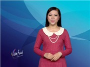 Bóng đá anh, ngoại hạng anh, lịch thi đấu euro 2012, Bản tin Văn hóa toàn cảnh ngày 13/12/2011