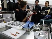 Bóng đá anh, ngoại hạng anh, lịch thi đấu euro 2012, Nhổ răng cho... gấu