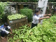 Bóng đá anh, ngoại hạng anh, lịch thi đấu euro 2012, Thành lập Ban Chỉ đạo "Quỹ vì Trường Sa thân yêu" 