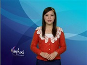 Bóng đá anh, ngoại hạng anh, lịch thi đấu euro 2012, Bản tin Văn hóa toàn cảnh ngày 17/12/2011