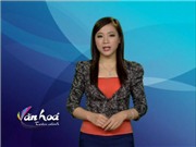 Bóng đá anh, ngoại hạng anh, lịch thi đấu euro 2012, Bản tin Văn hóa toàn cảnh ngày 18/12/2011