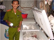 Bóng đá anh, ngoại hạng anh, lịch thi đấu euro 2012, Phát hiện 70 kg… đỉa
