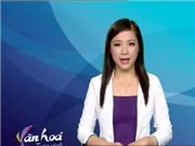Bóng đá anh, ngoại hạng anh, lịch thi đấu euro 2012, Bản tin Văn hóa toàn cảnh ngày 19/12/2011