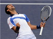 Bóng đá anh, ngoại hạng anh, lịch thi đấu euro 2012, Djokovic khai trương quán Bar - Cafe 