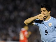 Bóng đá anh, ngoại hạng anh, lịch thi đấu euro 2012, Đồng đội ở tuyển Uruguay bênh vực Suarez