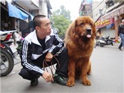 Bóng đá anh, ngoại hạng anh, lịch thi đấu euro 2012, Những thú chơi "lạ đời" của dân nhà giàu Việt