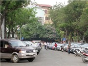 Bóng đá anh, ngoại hạng anh, lịch thi đấu euro 2012, Con bò & chiếc ô tô