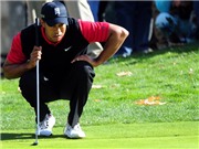 Bóng đá anh, ngoại hạng anh, lịch thi đấu euro 2012, Golf: Năm 2011 qua những con số