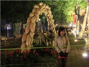 Bóng đá anh, ngoại hạng anh, lịch thi đấu euro 2012, Phố hoa Hà Nội: Vẫn còn những hình ảnh chưa đẹp