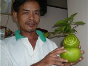 Bóng đá anh, ngoại hạng anh, lịch thi đấu euro 2012, Hàng nghìn trái bưởi "độc" giá một triệu đồng chờ Tết