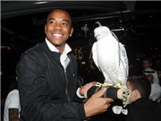 Bóng đá anh, ngoại hạng anh, lịch thi đấu euro 2012, Màn trình diễn phi thường của Robinho