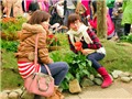  Lễ hội hoa 2012: Gần 4 triệu lượt người đến tham quan