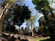 Bóng đá anh, ngoại hạng anh, lịch thi đấu euro 2012, Hạn hán làm suy tàn Angkor cổ