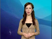 Bóng đá anh, ngoại hạng anh, lịch thi đấu euro 2012, Bản tin Văn hóa toàn cảnh ngày 8/1/2012