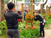 Bóng đá anh, ngoại hạng anh, lịch thi đấu euro 2012, Điệp khúc đầu năm