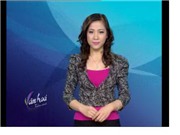 Bóng đá anh, ngoại hạng anh, lịch thi đấu euro 2012, Bản tin Văn hóa toàn cảnh ngày 9/1/2012