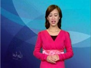 Bóng đá anh, ngoại hạng anh, lịch thi đấu euro 2012, Bản tin Văn hóa toàn cảnh ngày 11/1/2012