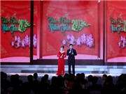 Bóng đá anh, ngoại hạng anh, lịch thi đấu euro 2012, “Mùa Tết” trên sóng VTV