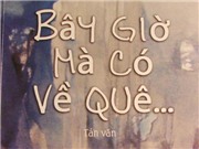 Bóng đá anh, ngoại hạng anh, lịch thi đấu euro 2012, Về quê khi chưa nuối tiếc