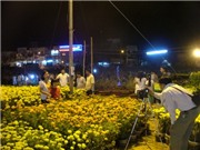 Bóng đá anh, ngoại hạng anh, lịch thi đấu euro 2012, Hội chợ hoa Xuân Phú Mỹ Hưng 2012: Con đường “nhân văn”