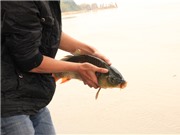 Bóng đá anh, ngoại hạng anh, lịch thi đấu euro 2012, Tết ông Công, ông Táo: Bụi hương bay trắng xóa chân cầu
