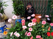 Bóng đá anh, ngoại hạng anh, lịch thi đấu euro 2012, Cuối năm đi phiên chợ Canh