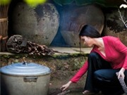 Bóng đá anh, ngoại hạng anh, lịch thi đấu euro 2012, Hoàng My rưng rưng với bánh chưng, bánh tét