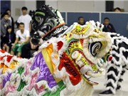 Bóng đá anh, ngoại hạng anh, lịch thi đấu euro 2012, Người Việt tưng bừng đón Tết ở Mỹ