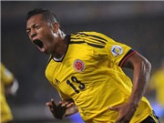 Bóng đá anh, ngoại hạng anh, lịch thi đấu euro 2012, Inter đang đàm phán với Guarin